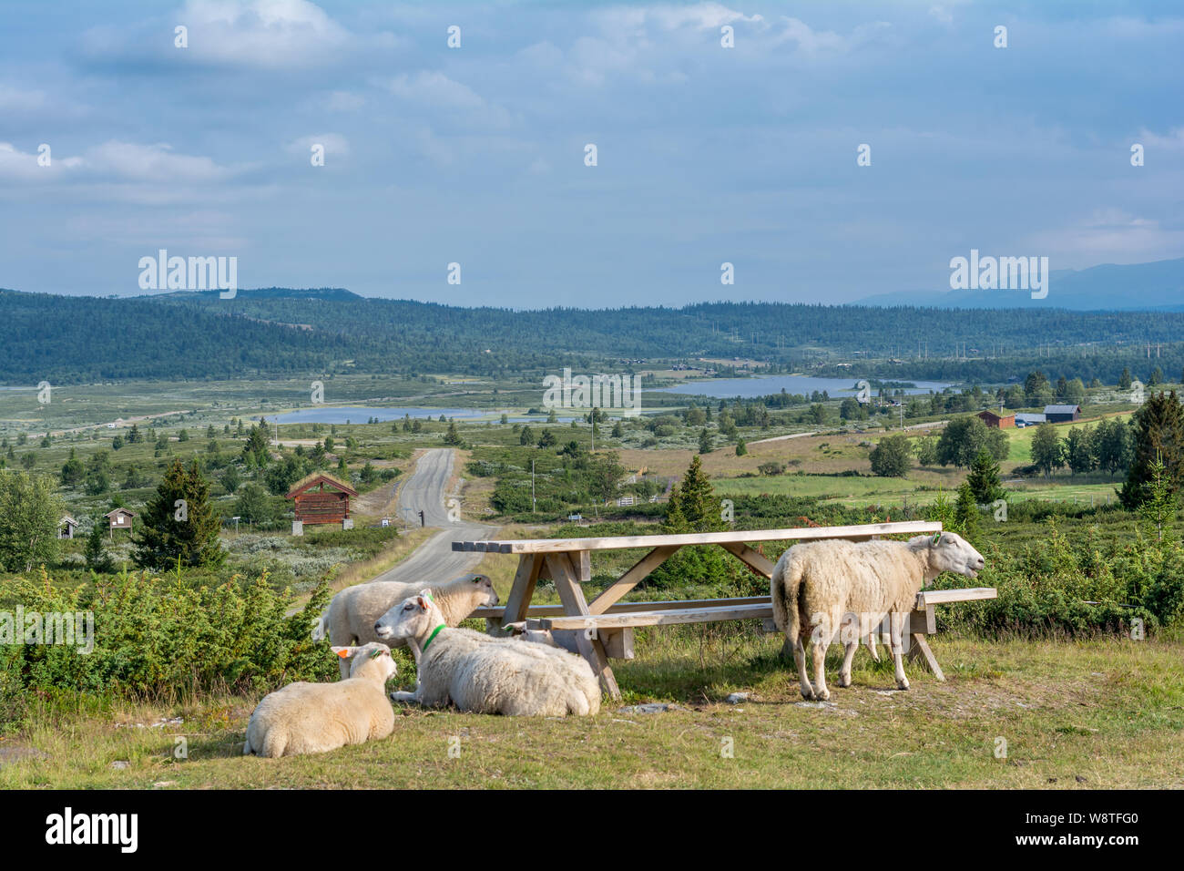 Peer Gynt Vegen Stockfoto