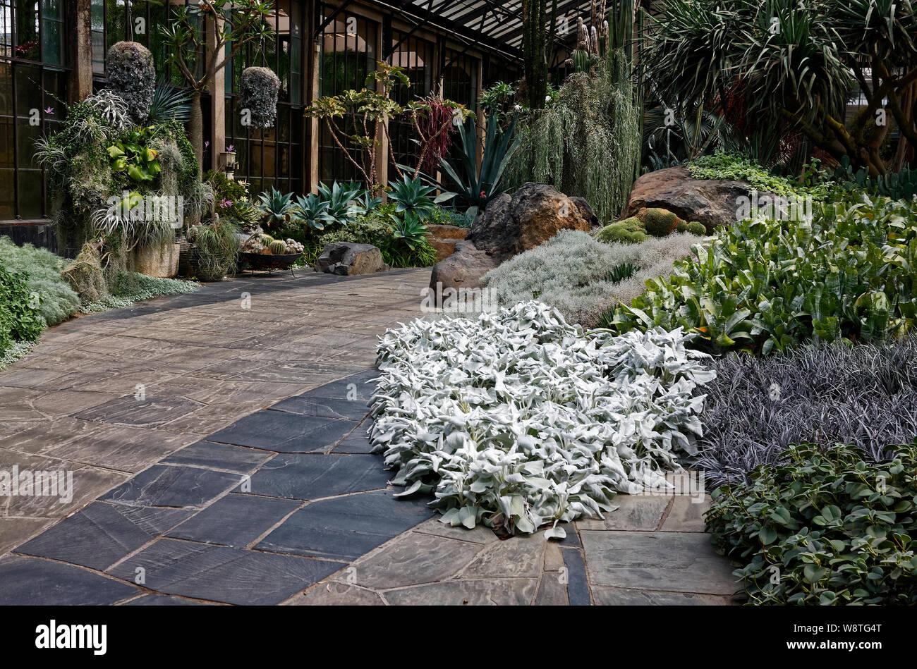 Silber Garten; Grau, Silber, Grün, Pflanzen, Schieferboden, ahmt trockenen wüstenhaften Landschaft, gläserne Decke, Wintergarten, Longwood Gardens; Kennett Square; PA; Stockfoto