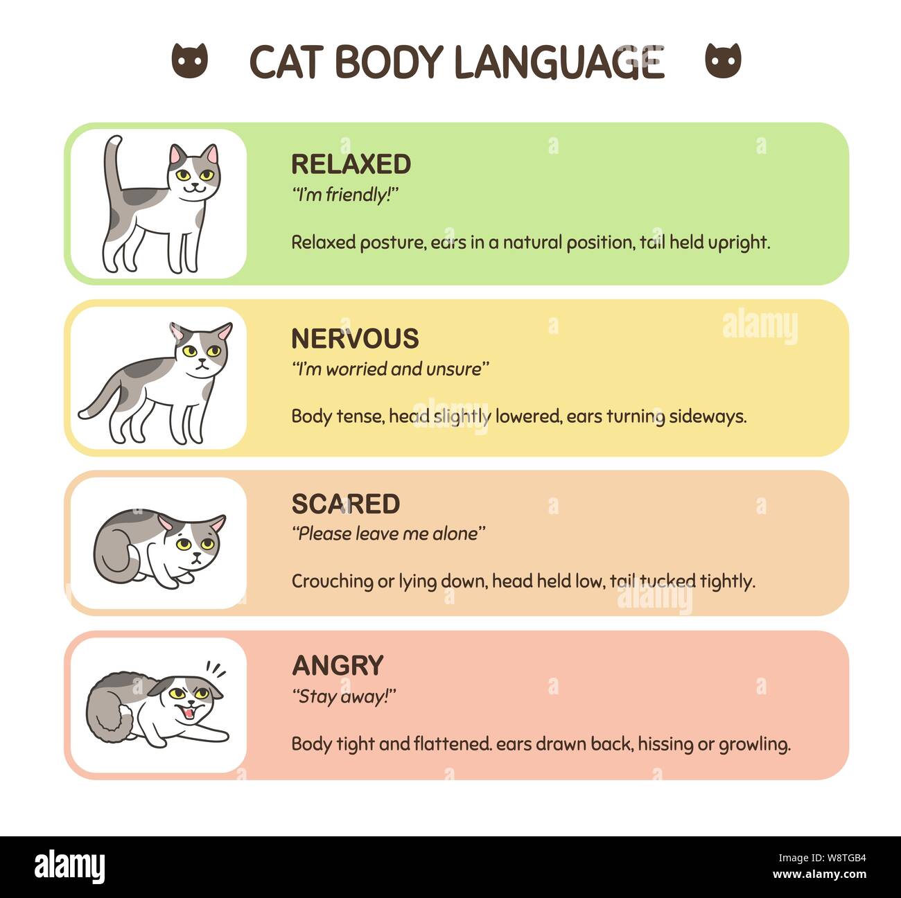 Feline Körpersprache pädagogische Infografik Charts. Cat stellt verschiedene Emotionen: Angst, Wut, nervös und freundlich. Cute cartoon Vektor illust Stock Vektor
