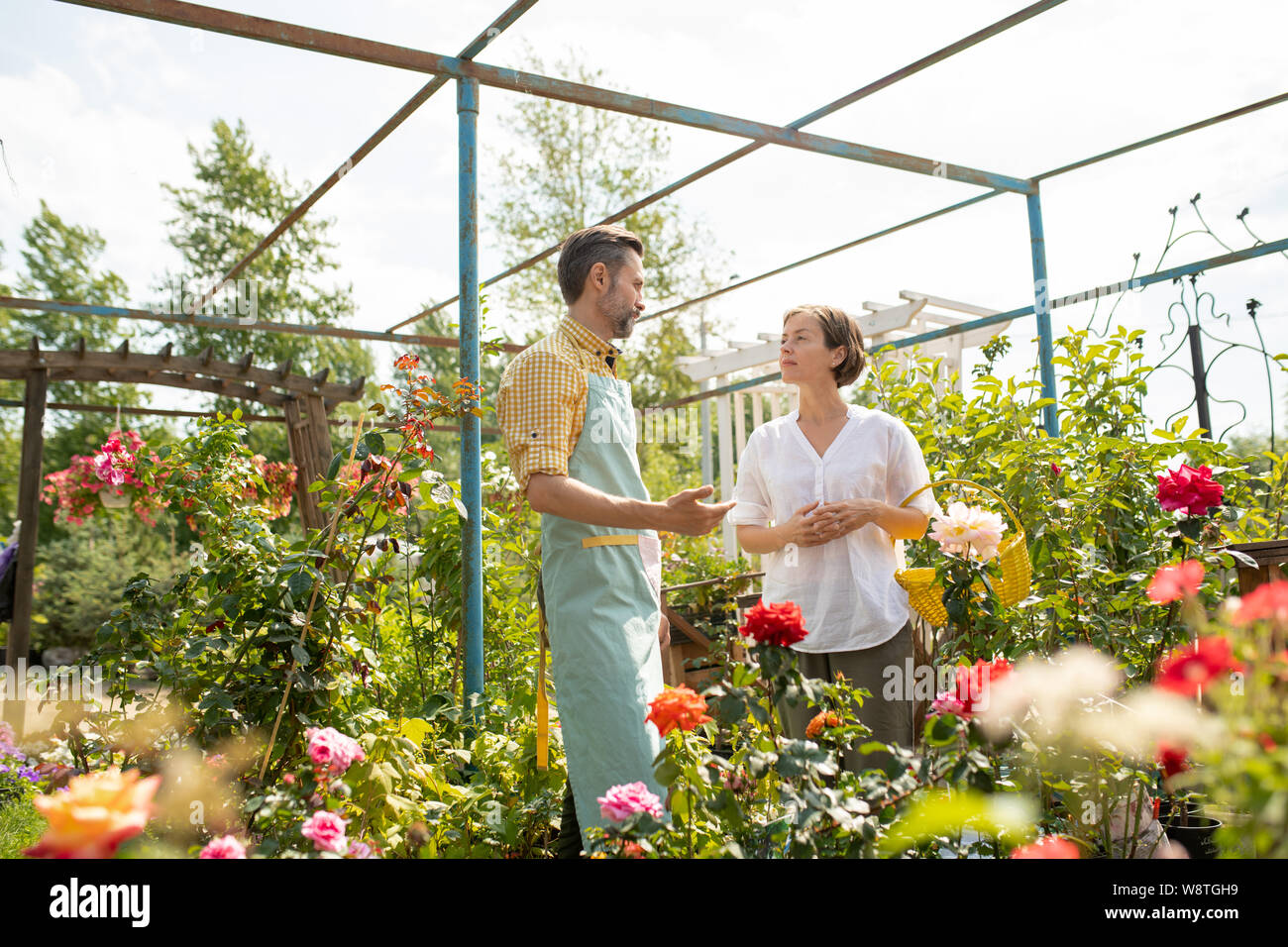 Eigentümer der Blumenladen oder Gartencenter im Gespräch mit einem der Clients Stockfoto