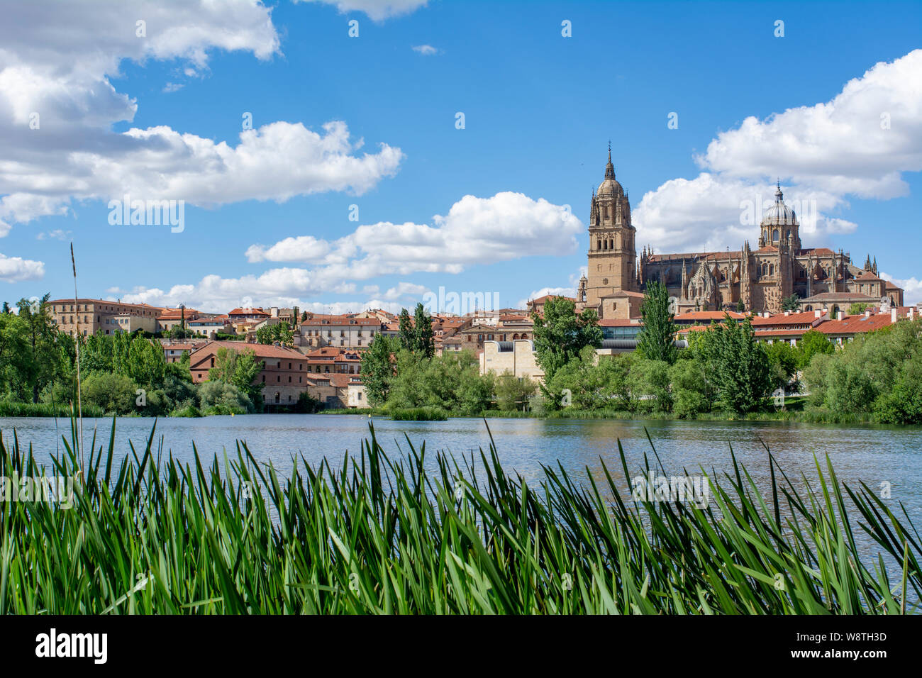 Schöner Panoramablick auf die Altstadt von Salamanca mit Rio Tormes und Neue Kathedrale von Enrique Esteban Brücke im Herbst, Castilla y Leon re Stockfoto