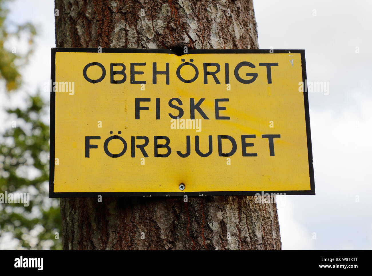 Close-up ein gelbes Schild mit schwarzem Text auf Schwedisch auf Baumstamm mit Informationen, die bei der unerlaubten Fischfang untersagt. Stockfoto