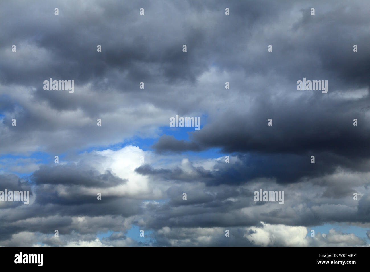 Bewölkter Himmel, Weiß, Grau, cumulus Wolken, blauer Himmel, Meteorologie, Wetter Stockfoto