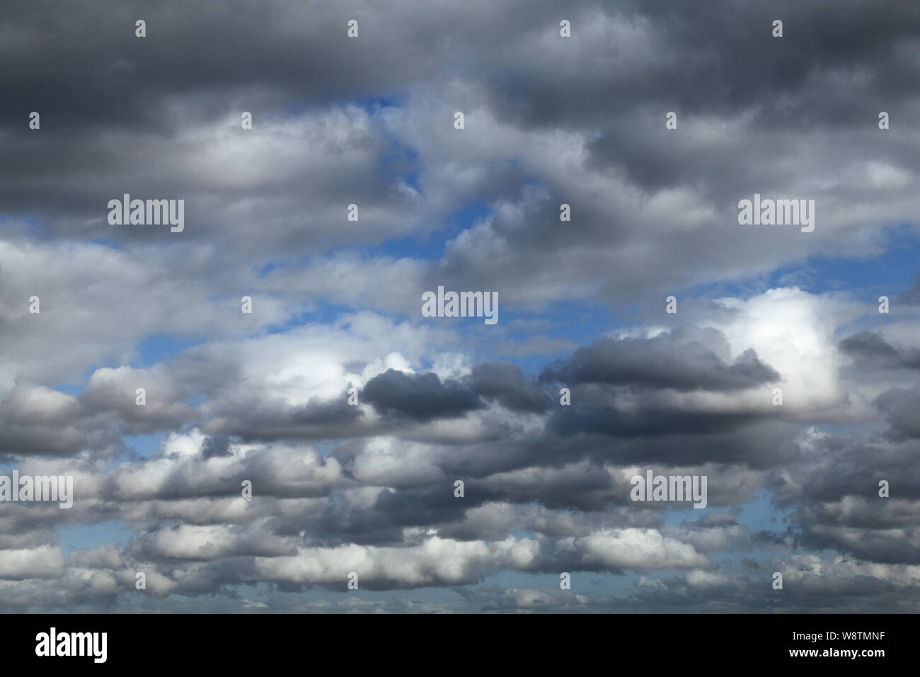 Bewölkter Himmel, Weiß, Grau, cumulus Wolken, blauer Himmel, Meteorologie, Wetter Stockfoto