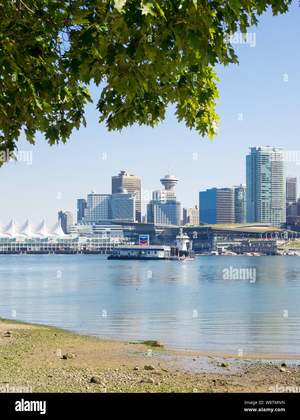 Die wunderschöne Skyline der Innenstadt von Vancouver, British Columbia, Kanada, vom Stanley Park aus gesehen. Stockfoto