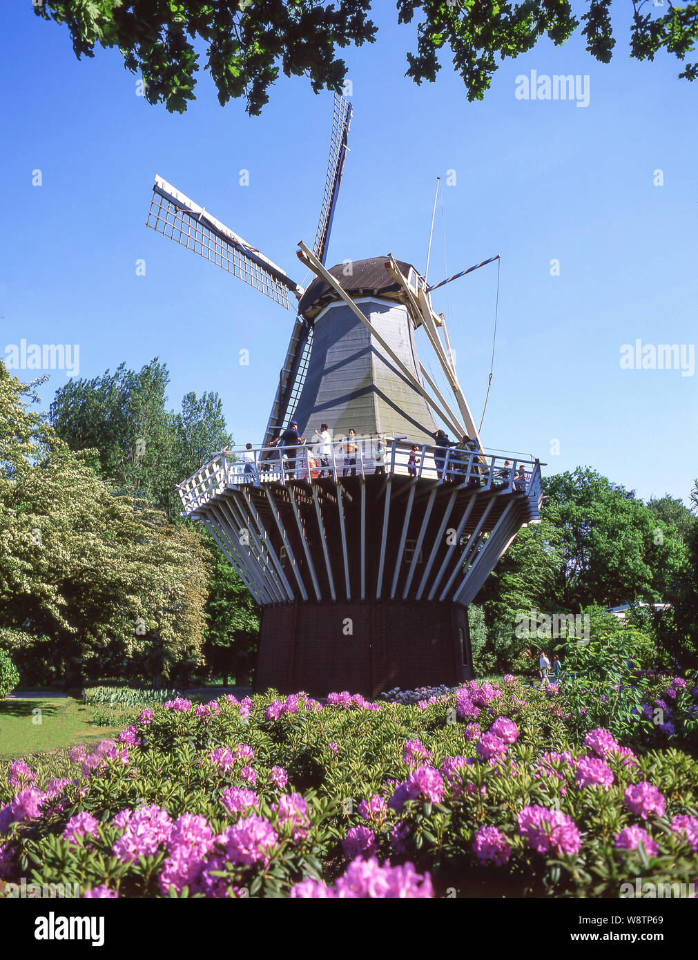 Windmühle in Keukenhof Lisse, Südholland (Zuid-Holland), Königreich der Niederlande Stockfoto