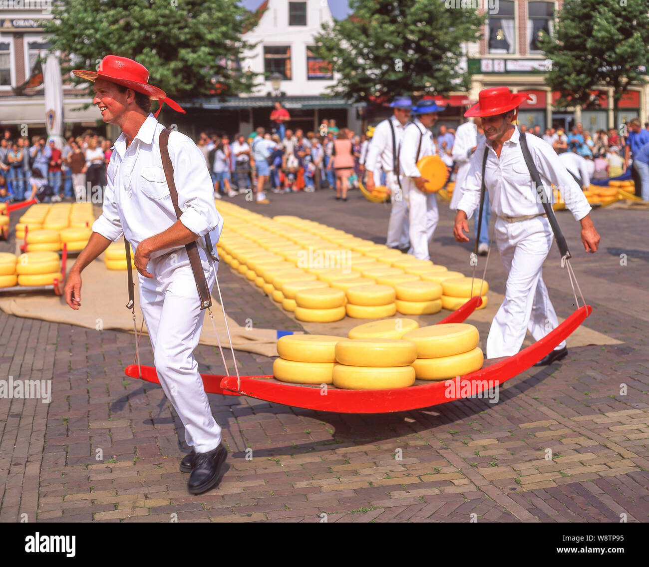 Käse - torhüter Laufräder von Gouda Käse auf Schlitten in Alkmaar Käsemarkt Alkmaar, Noord-Holland, Königreich der Niederlande Stockfoto