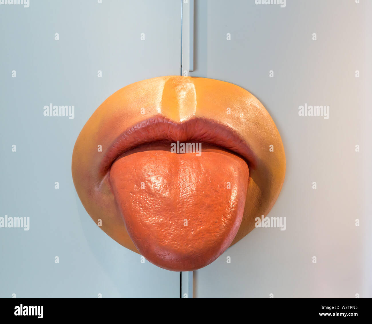 Anatomische Kunststoff Modell der menschlichen Zunge und Lippen Stockfoto