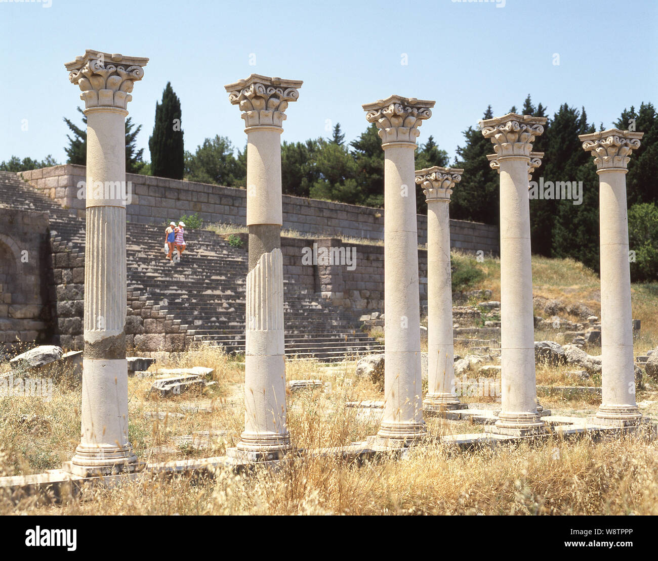 Korinthischen Säulen auf der mittleren Terrasse des Asklepieion, Plantini, Kos (Cos), die Dodekanes, Region südliche Ägäis, Griechenland Stockfoto