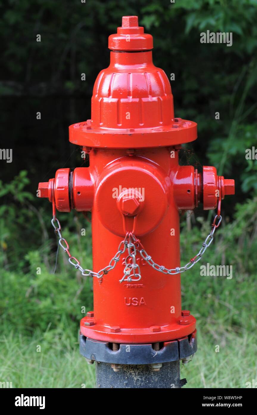 Hydranten mit einem frischen Anstrich mit roter Farbe. Stockfoto