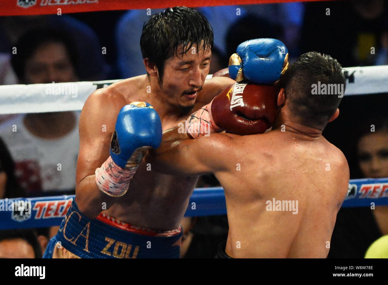 Zou Shiming von China, Links hits Luis De La Rosa von Kolumbien in Ihrem Fliegengewicht boxen Kampf während der Meister von Gold boxing Ereignis in Macau, China, Stockfoto