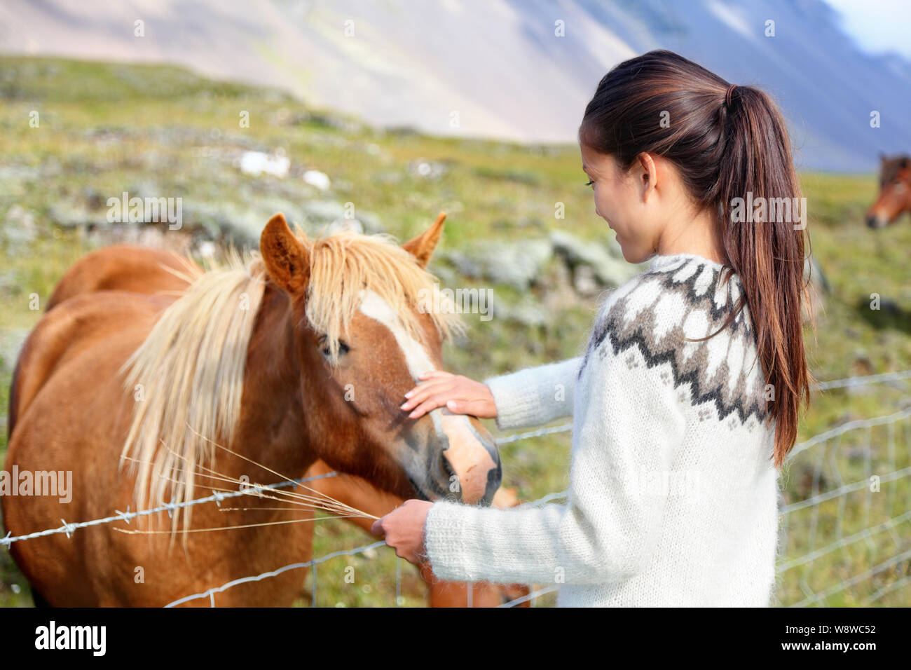 Islandpferde - Frau petting Pferd auf Island. Mädchen in Pullover gehen Reiten lächelt glücklich mit Pferd, in schöner Natur auf Island. Stockfoto