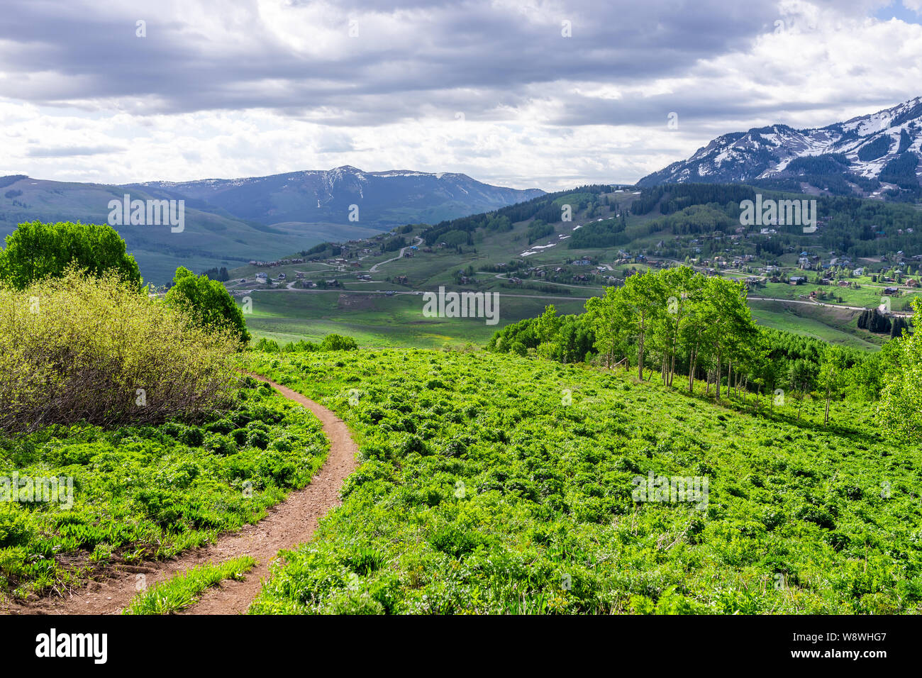 Crested Butte, Colorado Landschaft mit Snodgrass Wanderweg im Sommer an bewölkten Tag mit grünem Gras und Blick auf die Berge Stockfoto
