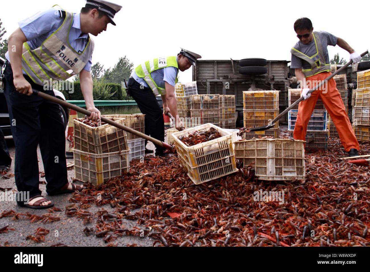 Polizisten und Arbeitnehmer Schaufel crayfish Zurück zu Körbe nach einem Lkw trug sie umgeworfen auf der Chuxin (Chuzhou-Xincai) Schnellstraße im Huaina Stockfoto