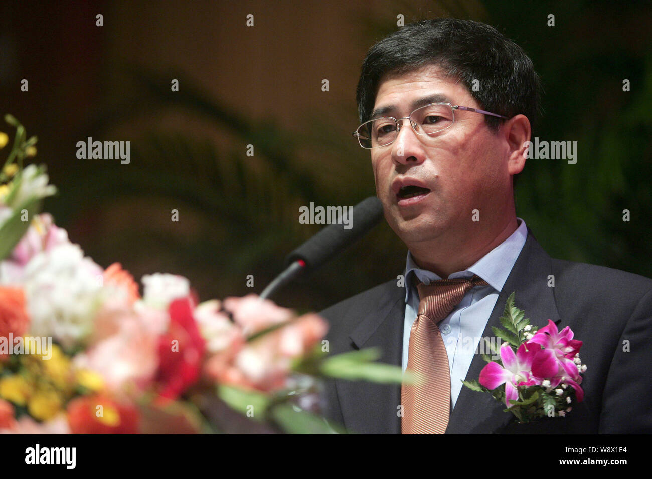 ---- Zhang Dongsheng, dann Generaldirektor der Staatlichen Kommission für Entwicklung und Reform (NDRC) Finanzabteilung, spricht auf einem Forum in Shan Stockfoto