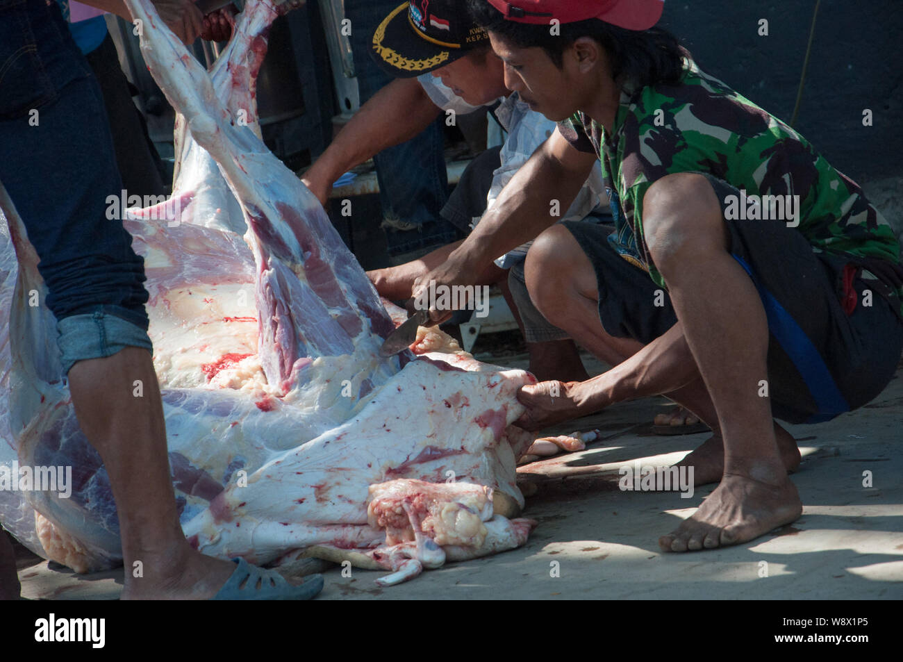 Makassar, Indonesien - 11. August 2019. Mitarbeiter Prozess das Fleisch von sacrificied Kühe während des Eid al-Adha, hat keine bestimmte Zeitdauer und Festival. Indonesischer Muslime und Muslime auf der ganzen Welt feiern das Eid al-Adha, hat am Sonntag auf Montag. Der heilige Tag, auch genannt das "Festival der Opfer', ist die zweite von zwei islamischen Feiertage jedes Jahr weltweit gefeiert Nach dem Eid al-Fitr. Stockfoto