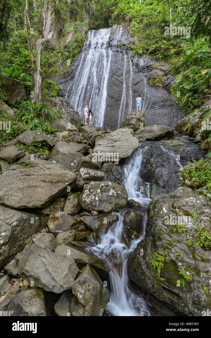 La Coca Wasserfall El Yunque National Forest - Wasserfall Touristen in Puerto Rico National Forest Regen - Puerto Rican Tourismus Wasserfall Stockfoto