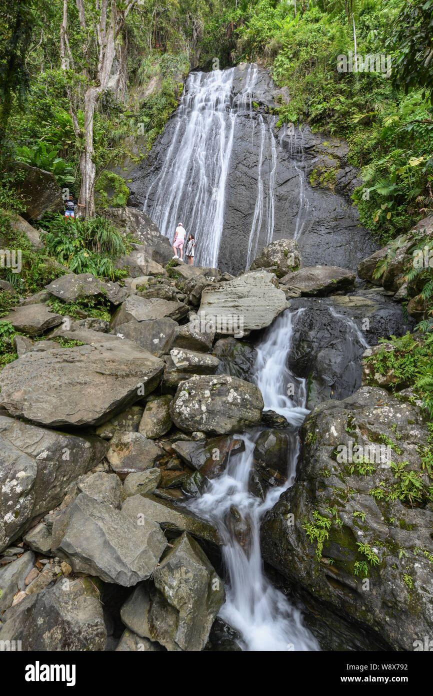 La Coca Wasserfall El Yunque National Forest - Wasserfall Touristen in Puerto Rico National Forest Regen - Puerto Rican Tourismus Wasserfall Stockfoto