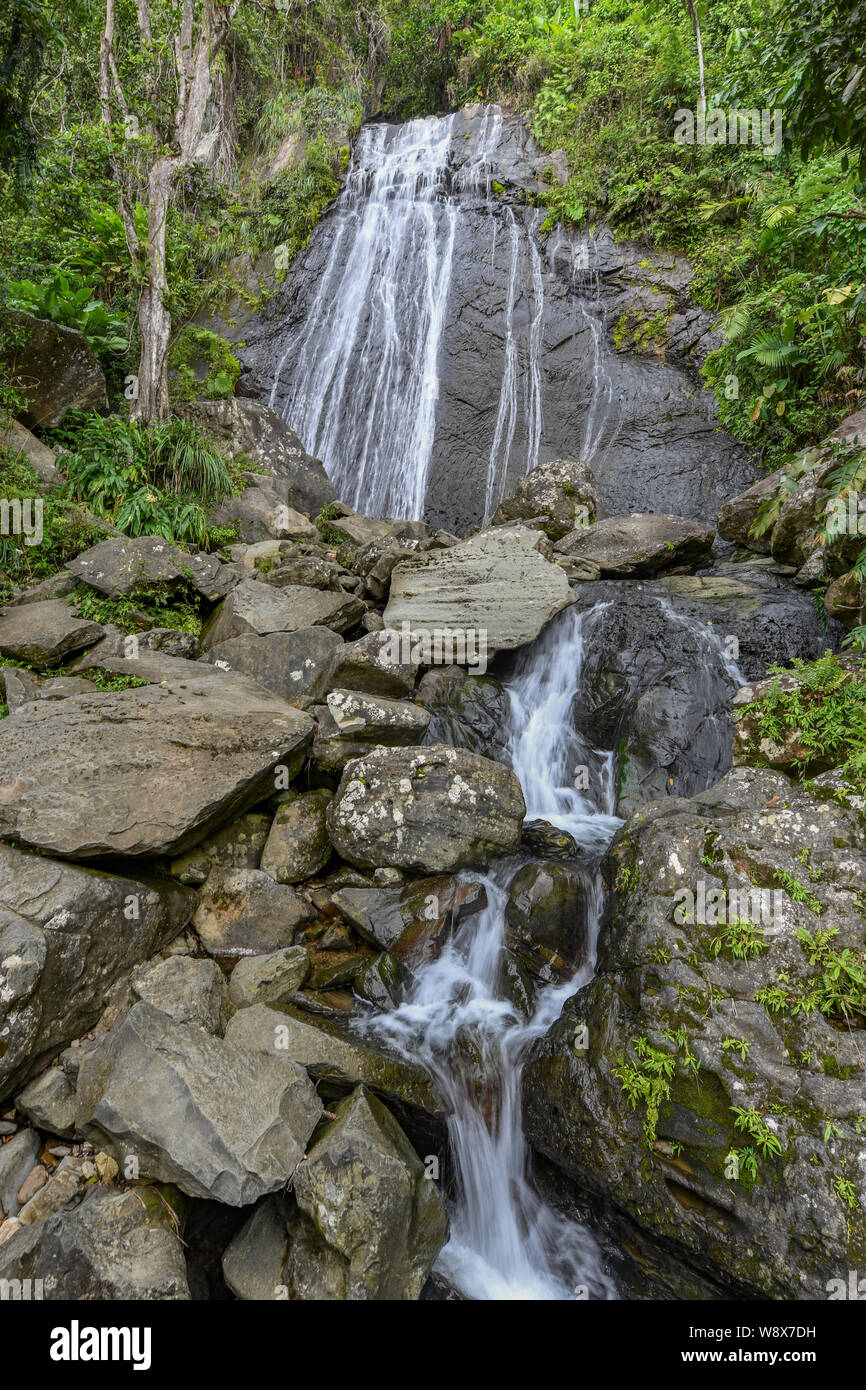 La Coca Wasserfall El Yunque National Forest - Wasserfälle in Puerto Rico National Forest Regen - Puerto Rico Wasserfall - Hurrikan Maria recovery Stockfoto
