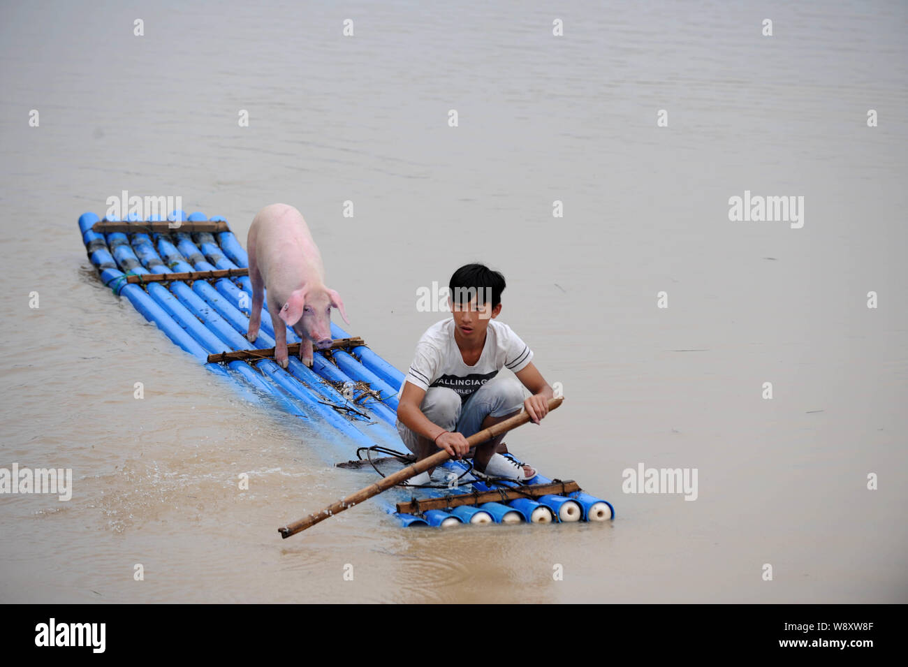 Ein Anwohner und sein Schwein auf einem Bambusfloß auf einem überfluteten Straße von Unwettern in Lishui Stadt sitzen, East China Zhejiang provinz, 20. August 20. Stockfoto