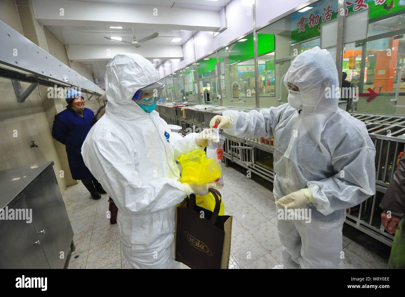 Mitarbeiter aus dem Bezirk Hongkou Zentrum für Krankheitskontrolle und Prävention tragen Schutzanzüge und Gasmasken Proben von Geflügel für Vogelgrippe sammeln Stockfoto