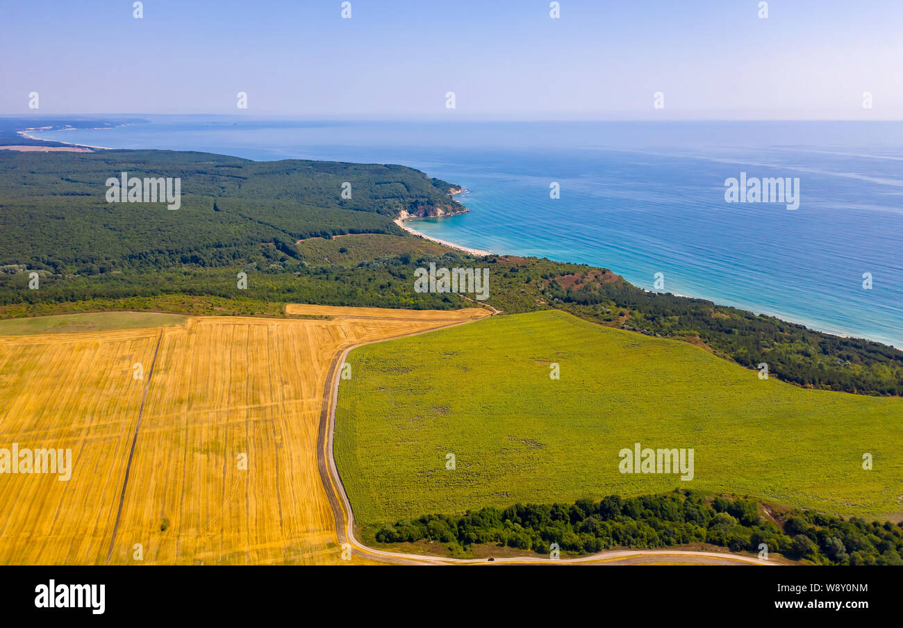 Felder von Weizen und Sonnenblumen an der Mittelmeerküste. Antenne drone Schuß Stockfoto