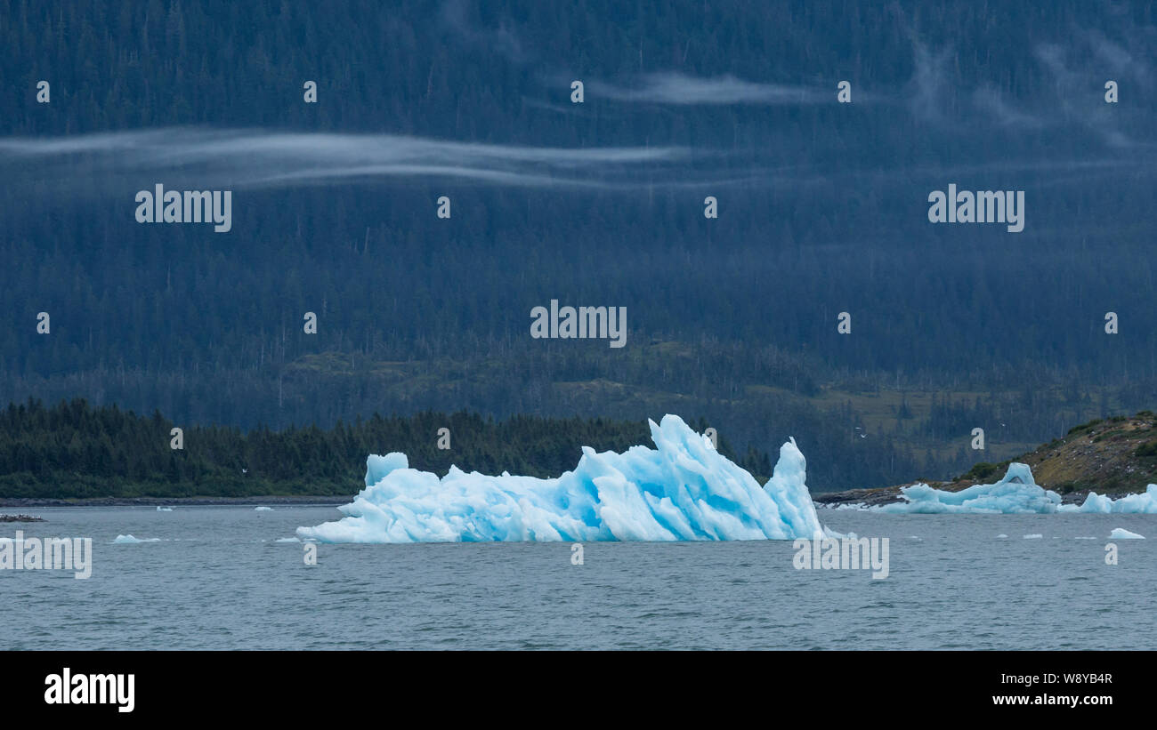An einem düsteren Tag im Prince William Sound, Das blaue Eis des Eisbergs glüht vor der weit entfernten Wald. Stockfoto