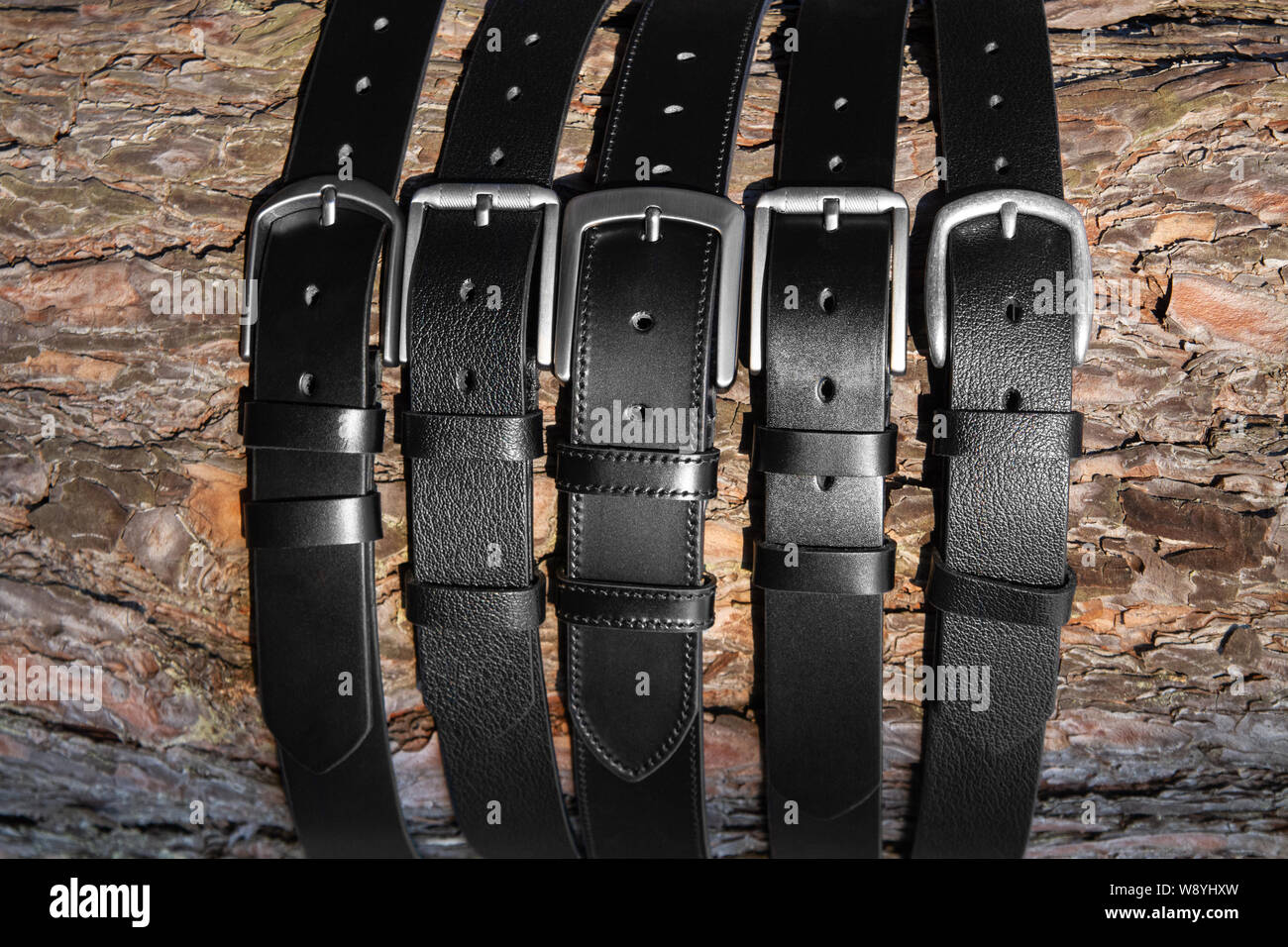 Pinienrinde mit schwarzem Leder Gürtel für Männer fallen Stockfoto