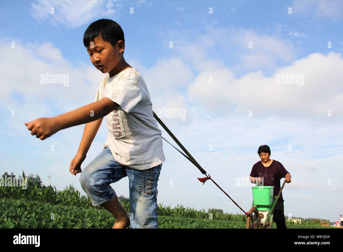 ---- Links - hinter Kind nicht landwirtschaftlichen Arbeiten in den Feldern für seine Familie in einem Dorf in der Stadt Chengguan, Neihuang County, Anyang City, Central China H Stockfoto