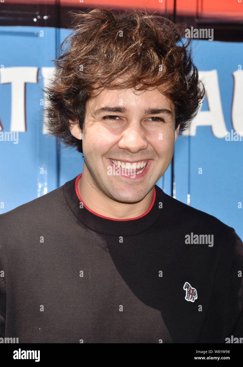 LOS ANGELES, Ca - 10. August: David Dobrik besucht die Premiere von Sony "Die Böse Vögel Film 2' im Regency Theater Westwood am 10 August, 2019 in Los Angeles, Kalifornien. Stockfoto