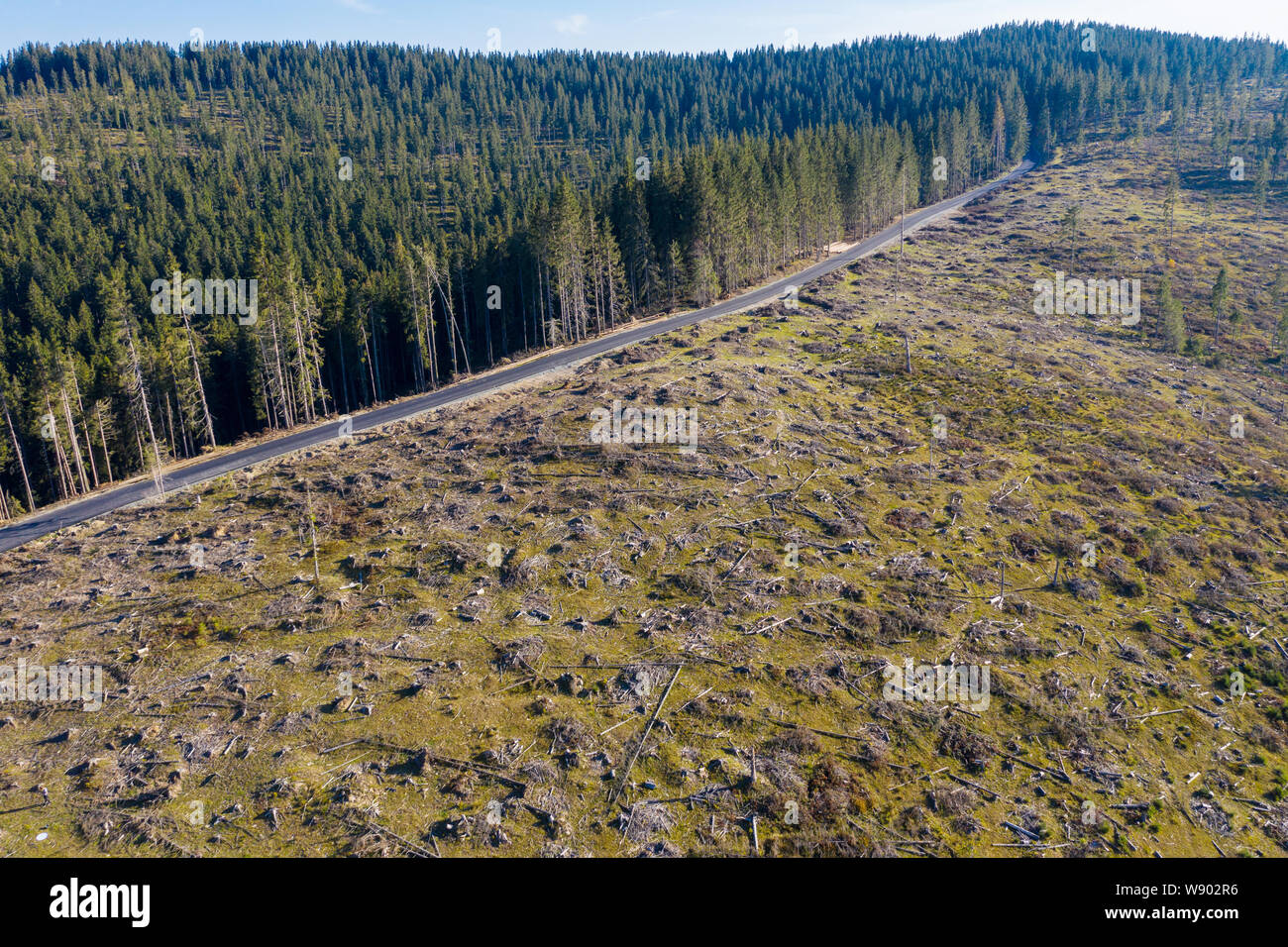 Die entwaldung Luftbild. Drone Schuss zerstört Wald in Rumänien. Die globale Erwärmung Konzept Stockfoto