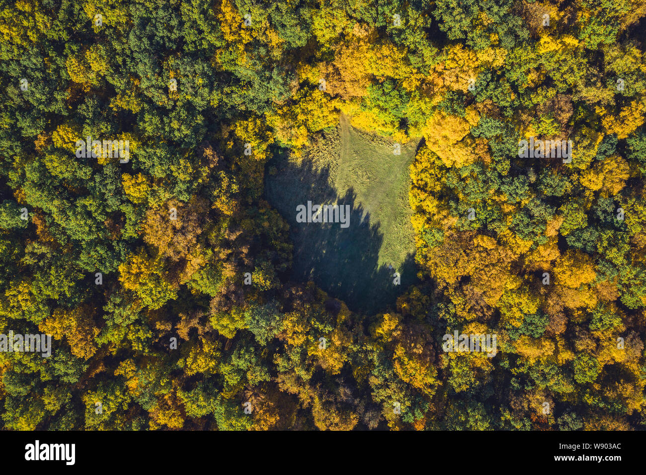 Blick von oben auf eine Lichtung von einer Drohne. Luftaufnahme, Herbst Holz, herzförmige Wiese Stockfoto