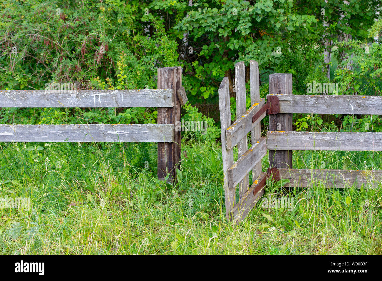 Alte hölzerne ländlichen Zaun mit Klapprigen Wicket, unbehandeltes Holz mit Zeichen des Alterns mit Schimmel und Moos. Wattle zaun Brettern. Eingangstür Wicket auf Stockfoto