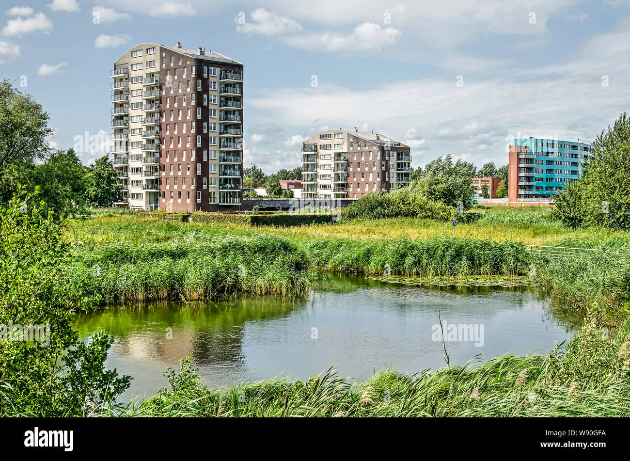 Zwolle, Niederlande, 5. August 2019: moderne Wohnblocks in neuen Stadshagen Viertel mit Blick auf einen Grünen Zone mit Teichen und Reed land Stockfoto