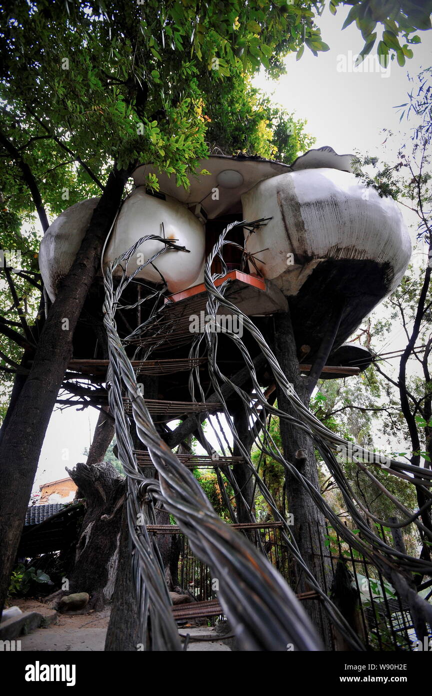 Blick auf die "Bird's Nest" Baum Haus entworfen und von älteren Einsiedler Gu Yuezi in Chen Dorf gebaut, Foshan City, die südchinesische Provinz Guangdong, 19 De Stockfoto