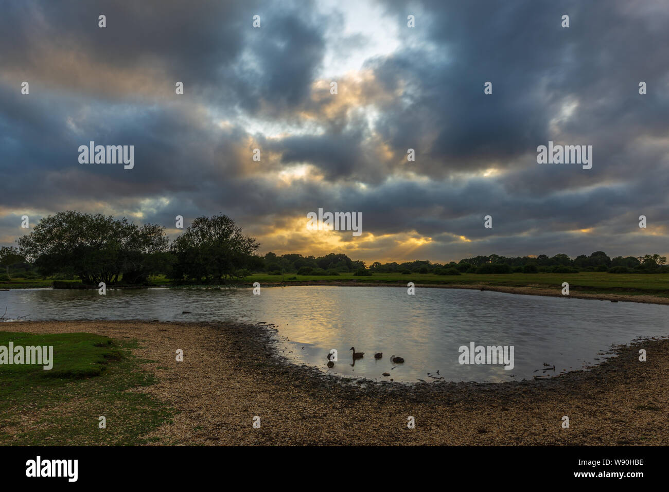 Gebrochene Wolken schnell über die Landschaft an einem windigen Tag nach einem Sturm an einem sommerlichen Abend im New Forest, Hampshire, England, Großbritannien Stockfoto