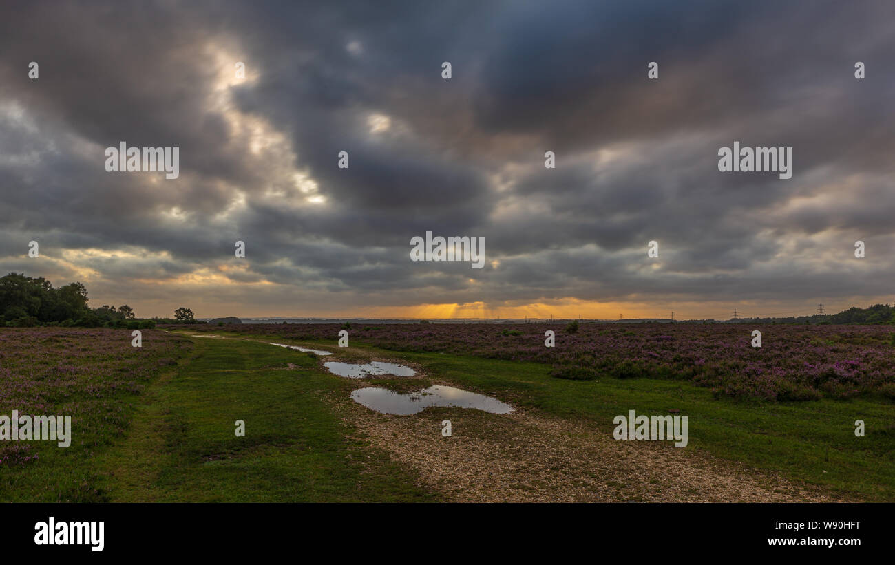 Gebrochene Wolken schnell über die Landschaft an einem windigen Tag nach einem Sturm an einem sommerlichen Abend im New Forest, Hampshire, England, Großbritannien Stockfoto