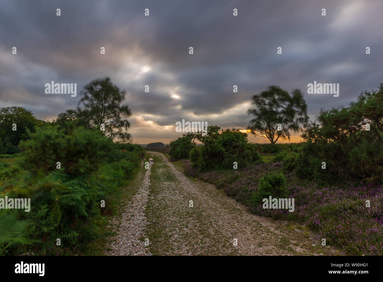 Gebrochene Wolken schnell über die Landschaft an einem windigen Tag nach einem Sturm an einem sommerlichen Abend im New Forest, Hampshire, England, Großbritannien Stockfoto