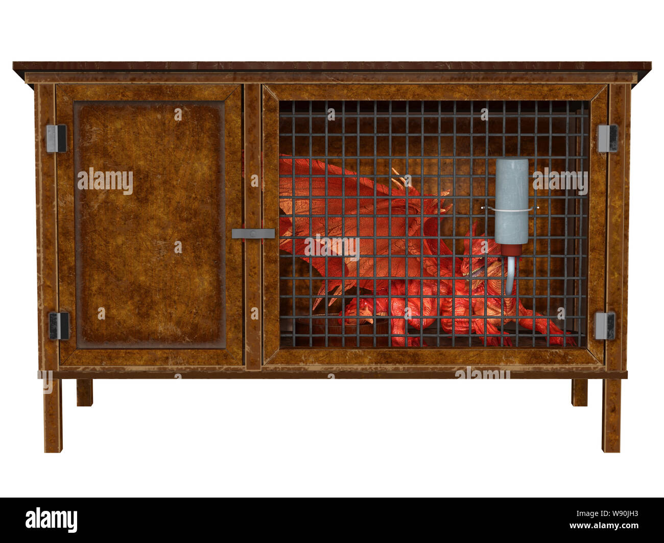 Kleines Haustier Red Dragon in einem Stall Stockfoto