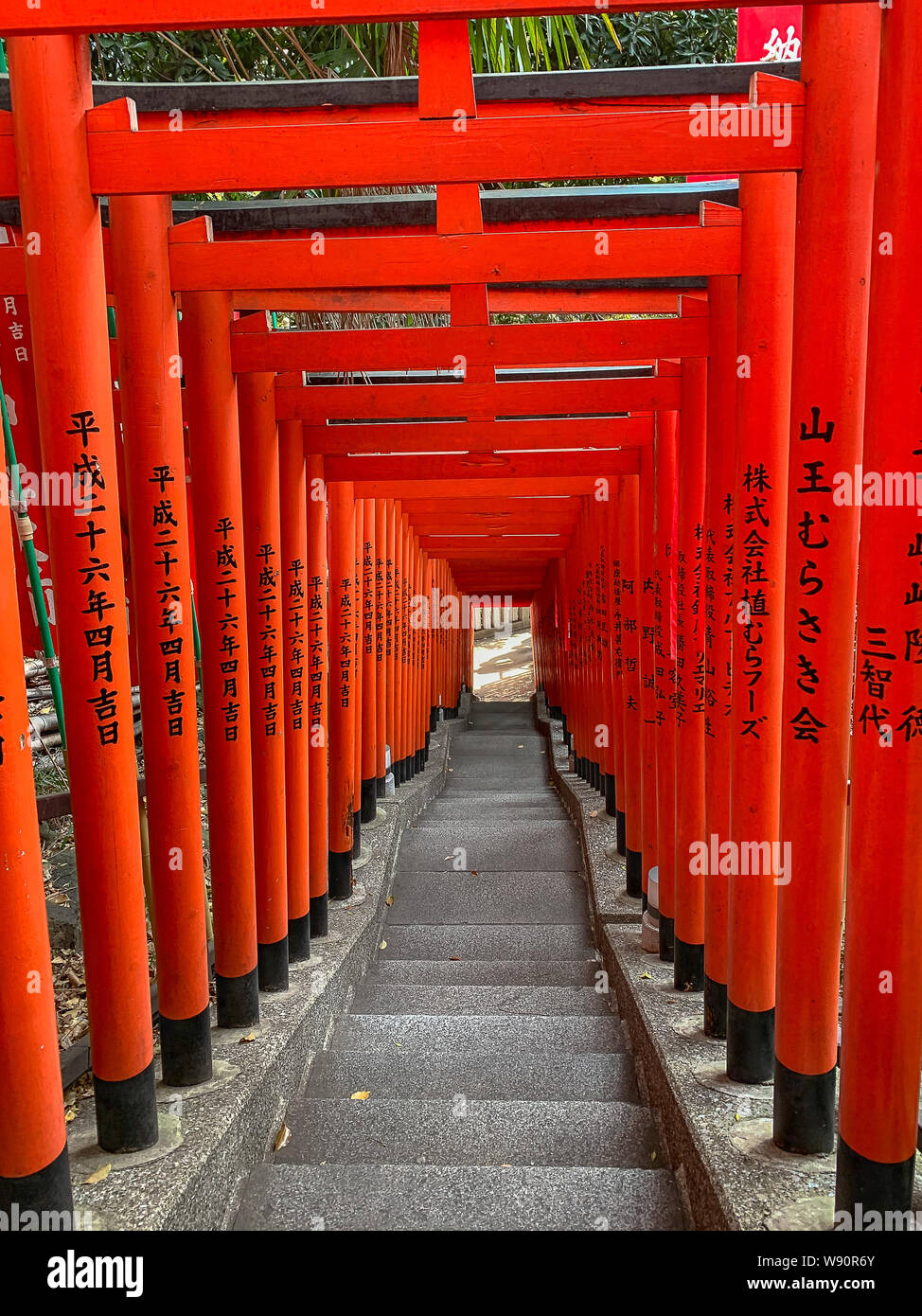Tunnel der roten hölzernen Tore an der Hie-Jinja Schrein, Nagatacho, Tokio. Stockfoto