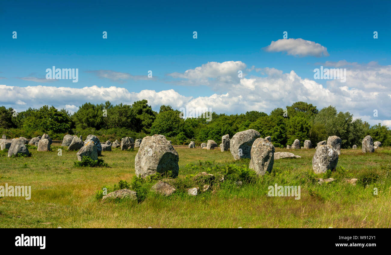 Carnac. Standing Stones, Menhire in der Zeile. Morbihan. Bretagne. Frankreich Stockfoto