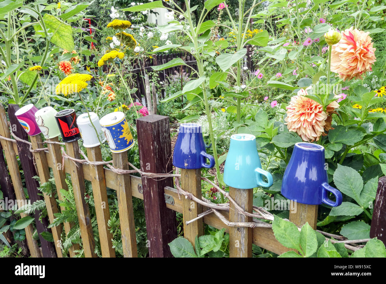Hölzerner Gartenzaun im bewachsenen Garten mit bunten Tassen auf Dielen, Hüttengarten Deutschland städtischer Garten hölzerner Zaungarten Stockfoto