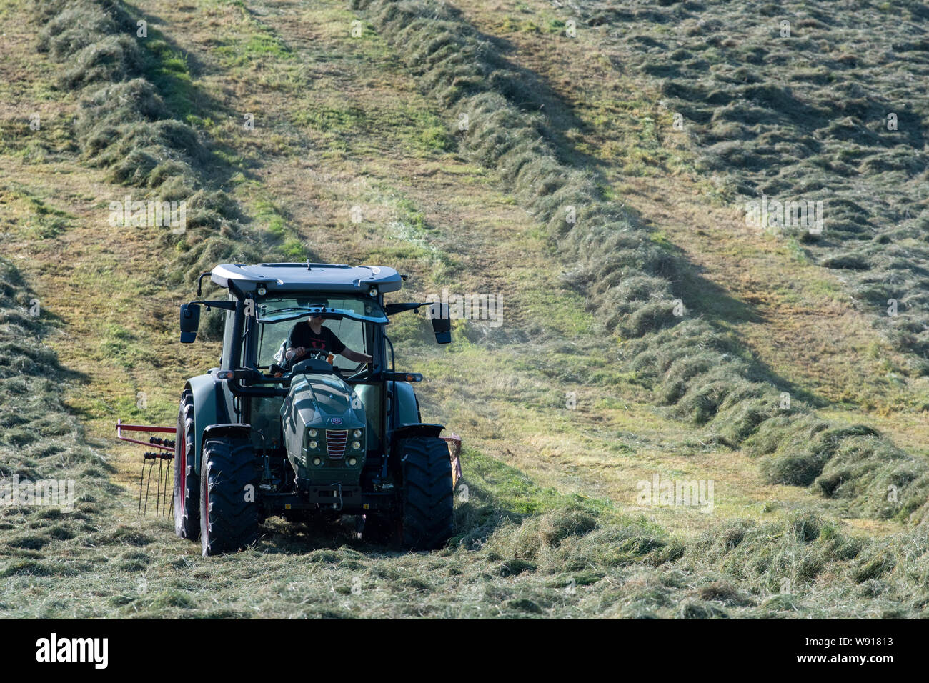 Traktor Auf Der Farm Stockfotos und bilder Kaufen Alamy