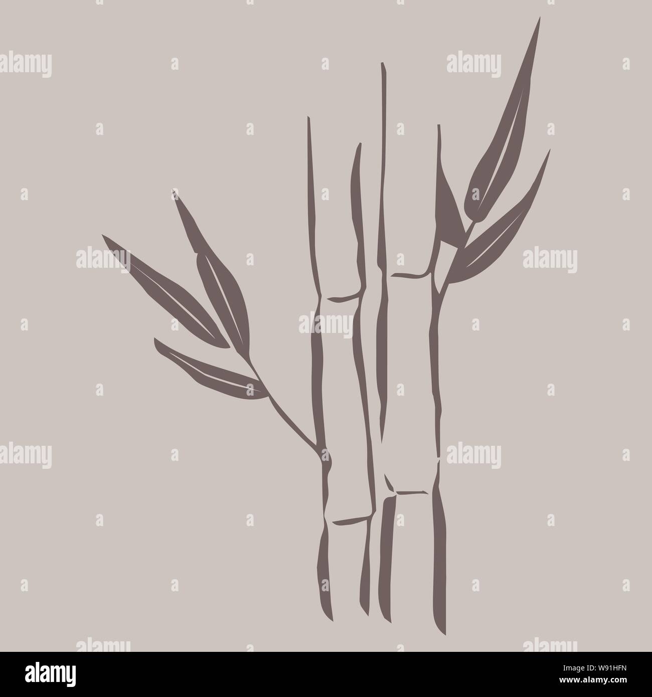 dracaena plant Large - Dracaena
