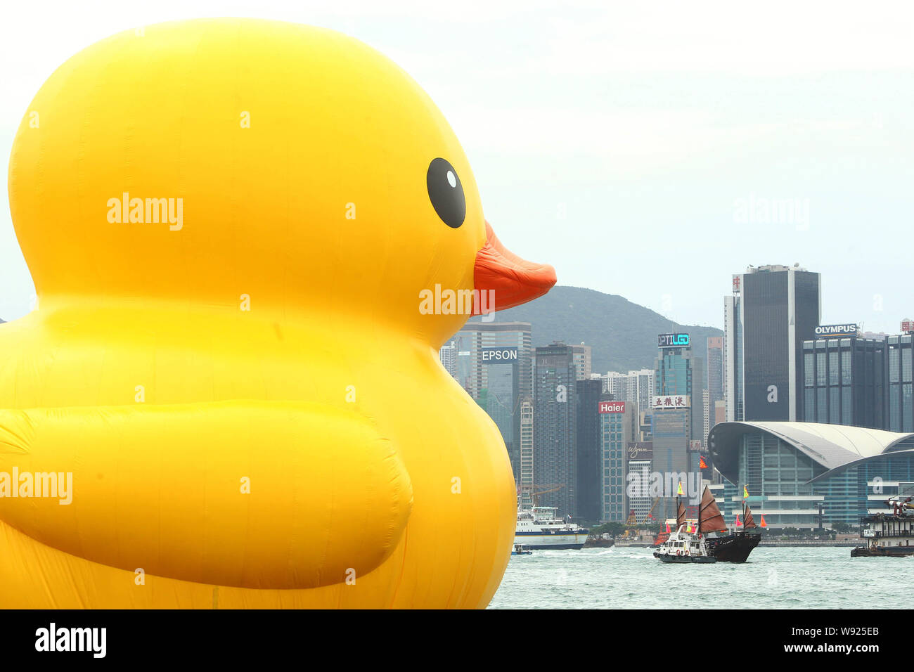 Die riesigen schwimmenden Rubber Duck von niederländischen Künstler Florentijn Hofmans am Hafen Stadt in Hongkong, China, 2. Mai 2013 angezeigt wird. Eine riesige gelbe Ich Stockfoto