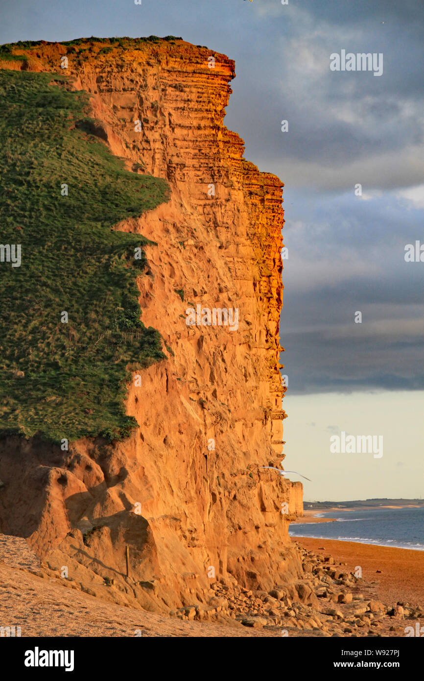 Der Sandstein Klippen am West Bay in Dorset, England. Dies ist Teil der Jurassic Coast, von Exmouth in Devon von Studland Bay verläuft in Dorset, ein Stockfoto