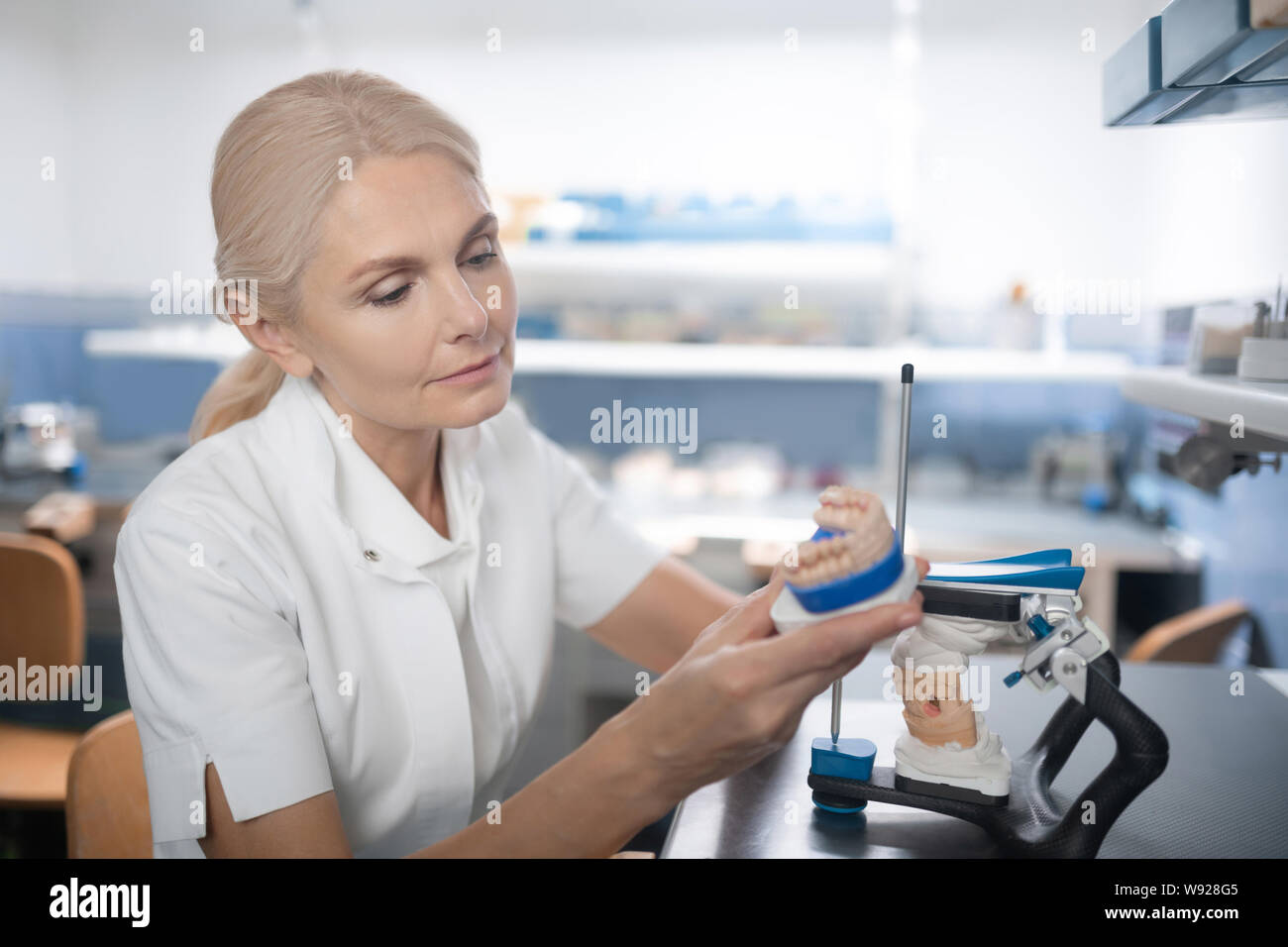 Zahnarzt eng an frisch gegossenen Modell der Zähne. Stockfoto