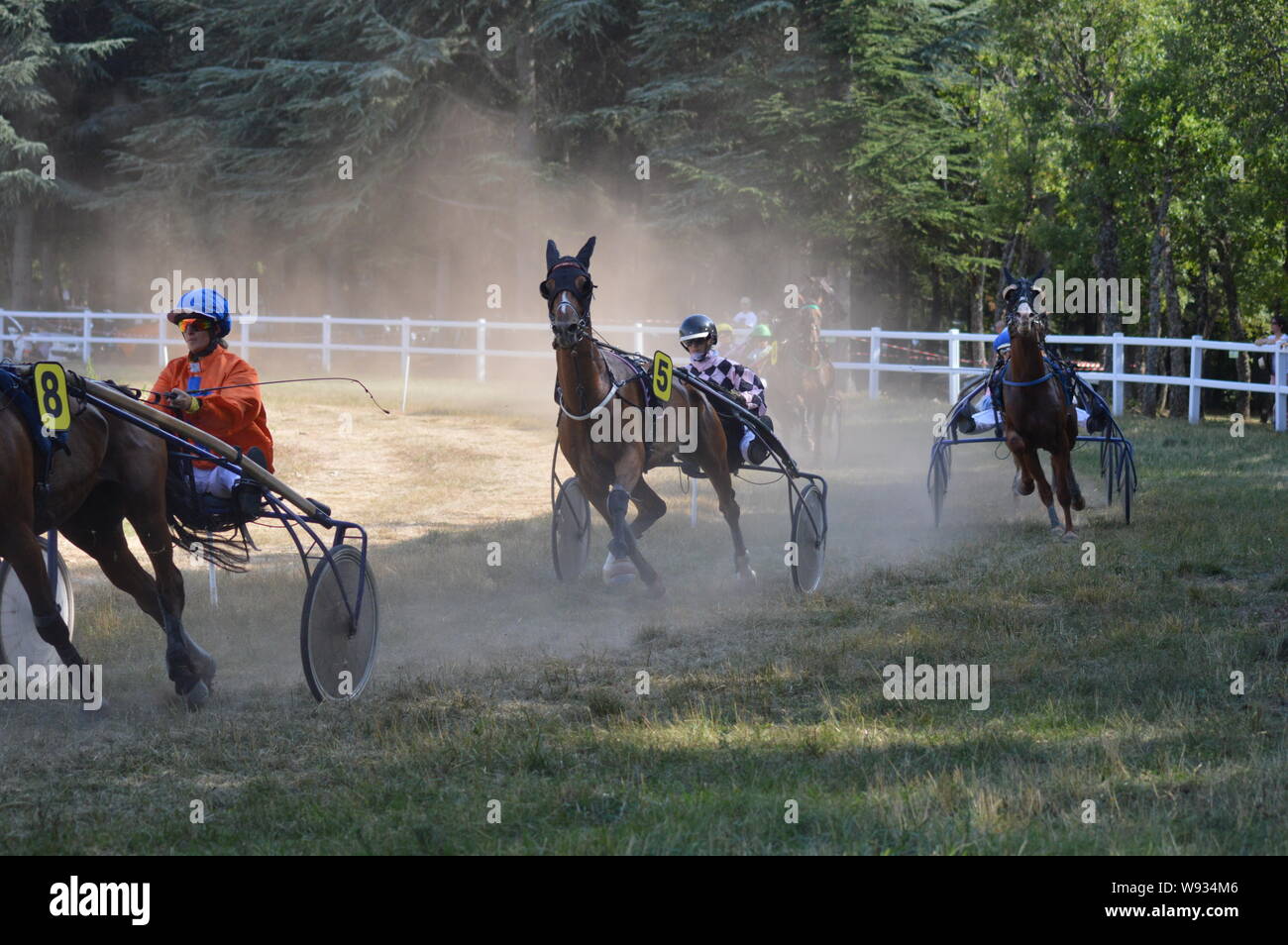 August. 11. 2019 Hippodrom ein Sault (im Süden von Frankreich, das einzige Pferderennen im Jahr). Stockfoto