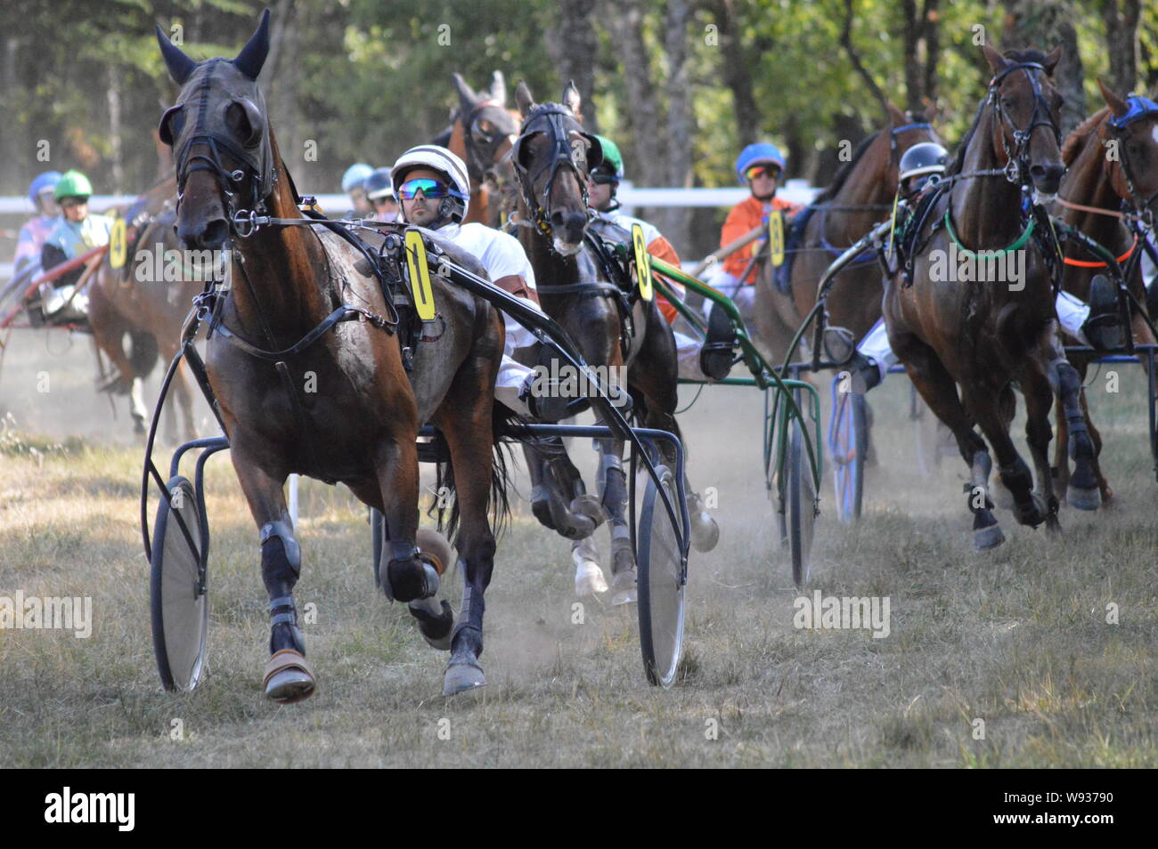 August. 11. 2019 Hippodrom ein Sault (im Süden von Frankreich, das einzige Pferderennen im Jahr). Stockfoto