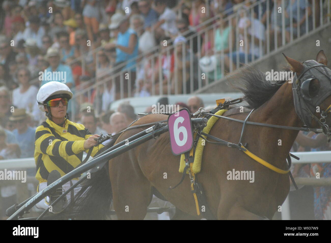 August. 11. 2019 Hippodrom ein Sault (im Süden von Frankreich, das einzige Pferderennen im Jahr). Stockfoto